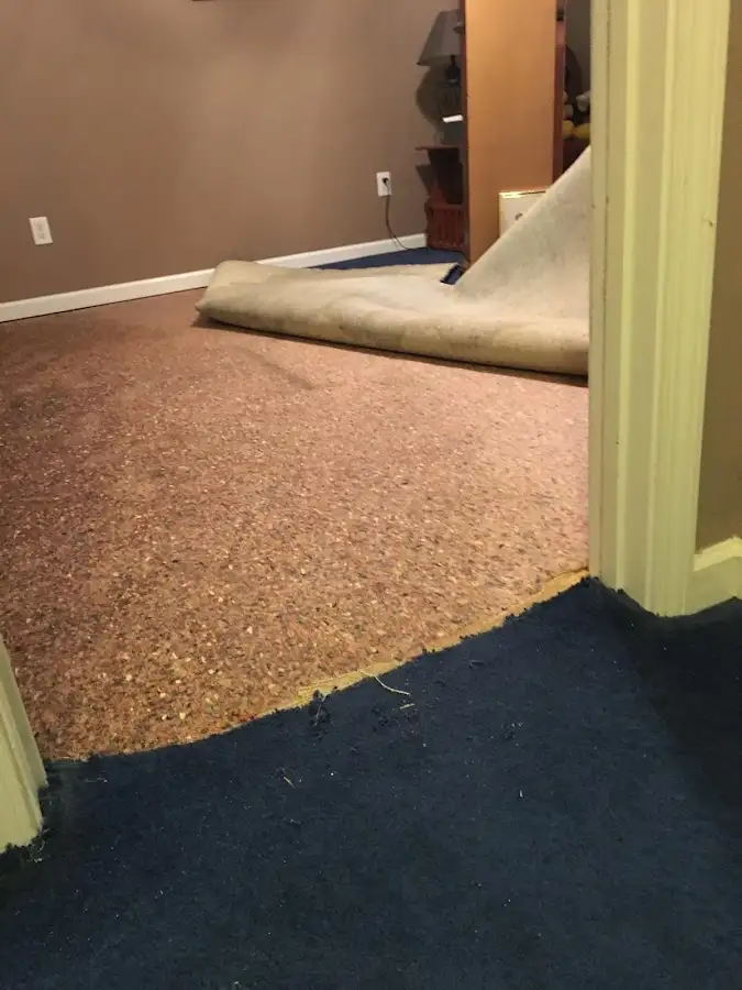 Carpet pad removal revealing water damage during Water Mitigation Services in Upper Grand Lagoon