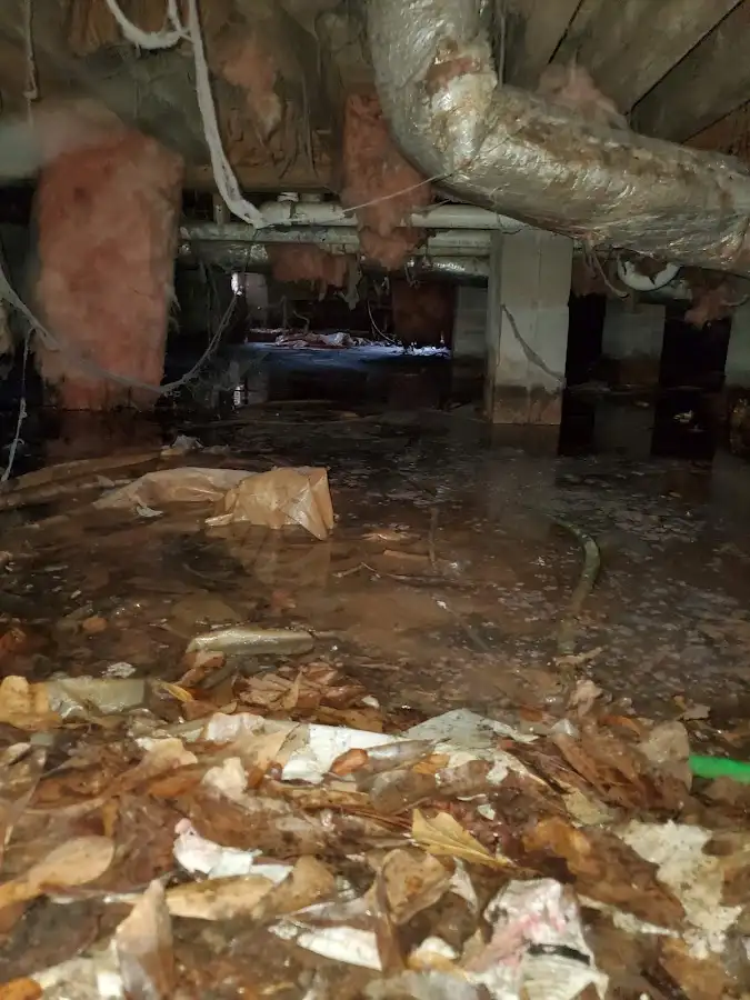 Crawl space flood assessment for Commercial Water Damage Restoration in Upper Grand Lagoon